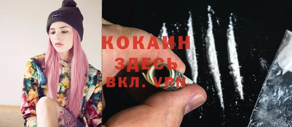 сатива Балахна