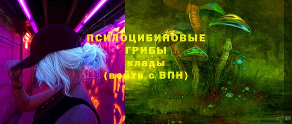 сатива Балахна