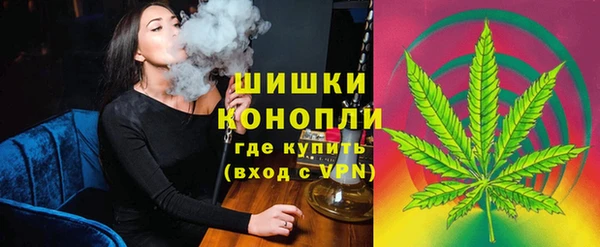 сатива Балахна