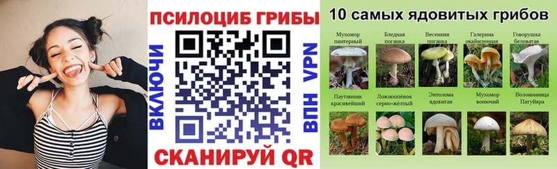 Галлюциногенные грибы Psilocybe  Нижняя Тура 